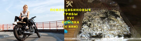 шишки Бугульма