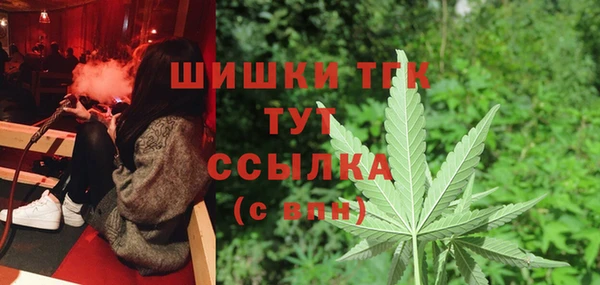 шишки Бугульма